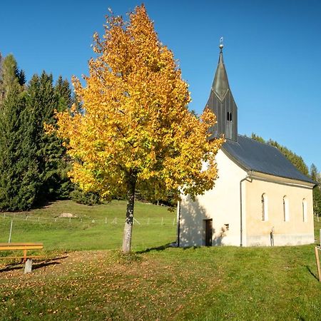 Hauserhof Am Goldberg Dellach  Buitenkant foto