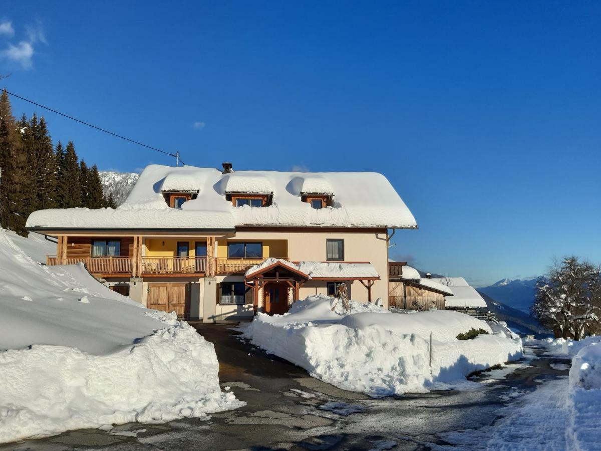 Hauserhof Am Goldberg Dellach  Buitenkant foto