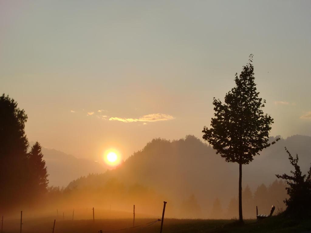 Hauserhof Am Goldberg Dellach  Buitenkant foto