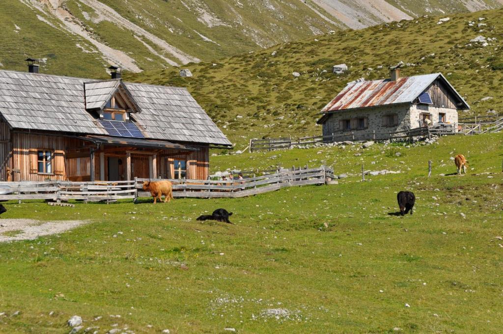 Hauserhof Am Goldberg Dellach  Buitenkant foto